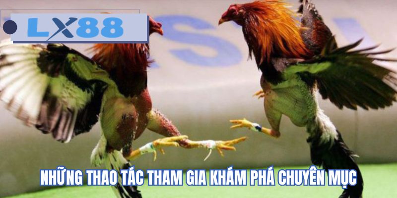Những thao tác tham gia khám phá chuyên mục