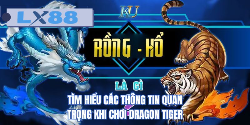 Tìm hiểu các thông tin quan trọng khi chơi dragon tiger